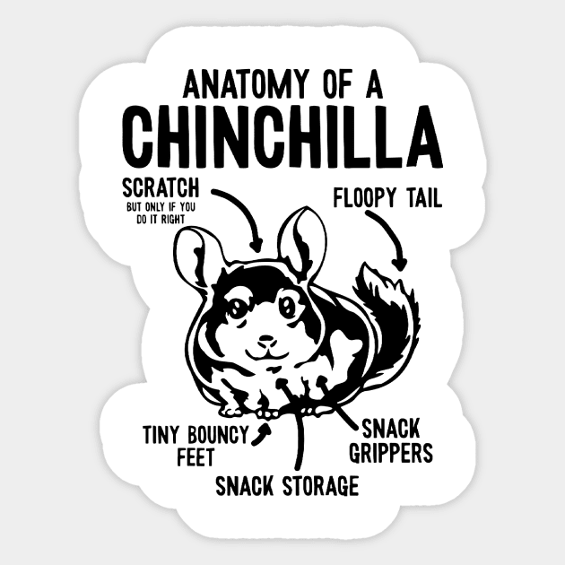 Anatomy Of A Chinchilla - Chinchillas Sticker by fromherotozero